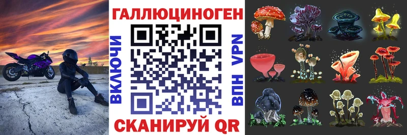 Галлюциногенные грибы мицелий  Хилок 
